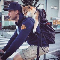 9a69deb6be18f2edb4bdff94df1356f69190b309