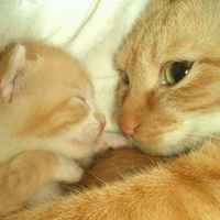 751a320131eb9072eb7dec8ad074c72630da5026