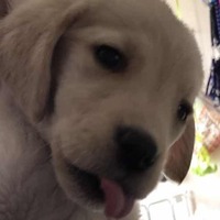 23d0187654868de2065d3578b01eb23428811336