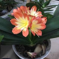 66f5f20ebd9884b115afa400d9e6646045c844a9