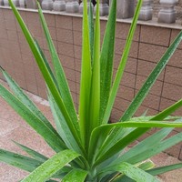 3f0cb5fb7c71bd7b7c2a5cdb7bf27cd53a213880