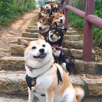 Eaa2c8a2144342eb5fd31306a06c73ba6f8c4603