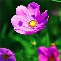 74a9fd969069a822c45a68d75d80181aeb0776e9