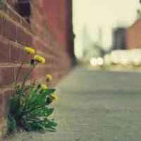 16264c6440ee6d67aa533fcf3a88b429c14f27b6