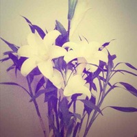 49356c090b10b3864a7f18bcee042c113701c64f