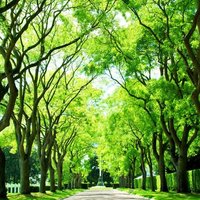 382f360716e02ecc6a1bbba7b08dd90f6732fe31