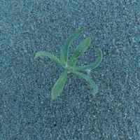 3888b039e6c494178e59e15ff326f7017b0f387f