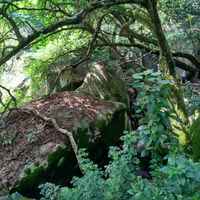 2d8847fb1f06aa413d9d540d37d2befce803123e