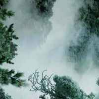 C0365faa366c325c3a464063a24a674a1cb969e0