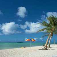 442ca39dc949aeaf48a85a6d258ab490e837f4e3