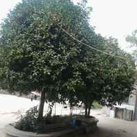 Dbfe92c2c008505bffc9dceb524072b607e1011a