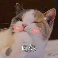 835ff39e173fea3f5e9fa00ed71f57e50d7d896b