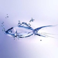 Fa16405607c42eb08e575e83723c3c955420ee6b