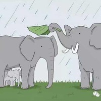 E9020f28e24aa7959ce8ef164c79664dbda7fd51