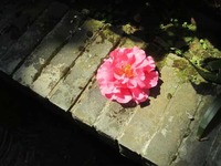 B3fdcd53895d8210aec0cf1104be1a8577d22312