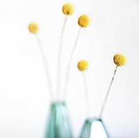 F7ef718b9dd4089db684cc7451e850f95a01d0d9