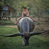 4967feaa58cd98c65536f22f5a9baf0bba2fd034