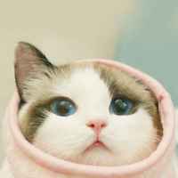 F4d8456b4bfa1dd91a2a309e0e1e0b57acb4bd91