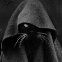 A2cd74fd3e4acaae1ed0b22fde957c5d0c11a85b