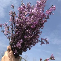 01d4265093fc1595737abde414bf65522c793ab6