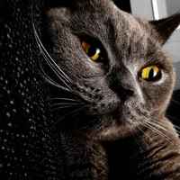 2b5874c3a22fd545939bff960f10cb6807157311