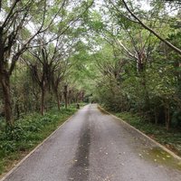 F611ef870b78b06a9882b3a7aafcebb871f8e5d4