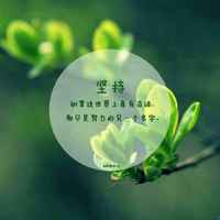 D2e6d85acaee4afde71daee8ba225a226e8949e9