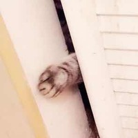 D359344c1b50dbc424cc2966d88ffcfaf8a2ee8f