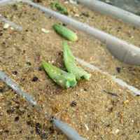 0a5551776e74ea2738389e26ee12a9dbdcbe8d89