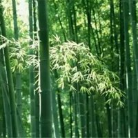 4101aa26a819fdd858a4f57df1e854e0b0b62042