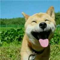 00c43754d29255a3e73e0672c1c0804d2fa53eb5