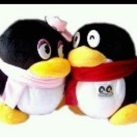 E7909d9935a46ccdc8f26a2325446341c8efc3f1