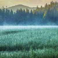 Bd8a91ebadb808a0b90b53f36138858bd3d0a3ed