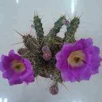 52a5d88f2793b72af1e296c05834956c432cbfd4