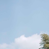 Fe0980d468ff32541680f31716cdd381cfa01b68