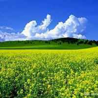 Ab01883320339f0abbbe48dc4f86d09af5655fcf