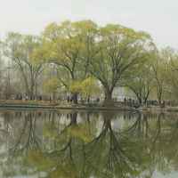 64e2603a1e87313ddd9532e1196949ed8b60156c