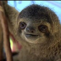 E09ddc94296b37318a6db30d412d7f883ace153d