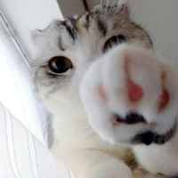 5c724a3610d28748a63802a86cf8b40ae1682097