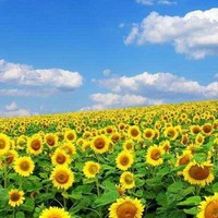 042b6db3800aa67d6c5f97f69bd5662f35c732b5