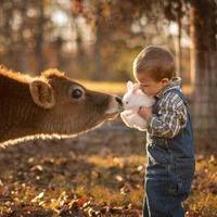 6b1b07ffc01aa6331b92118a8f786eda3d855003