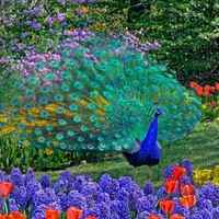 F5d62900eb4b52e93afb3bc2d98fb40d82af4196