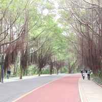 D5ada47adabbe6d4ec40568f8bc3c8d337610199