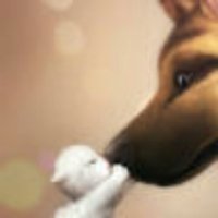 F0ce6e672fbce2ff7f4a5330b2c9f690320b767b