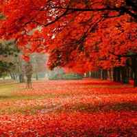 Ba27bdef0a6483493c0cbfd9f1b1bd96a31c52aa