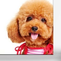 B4d32bcdc581717b1a644a82e8eadb93562e2589