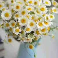 85682e9615c7c9ea62102448059c144d47410d0c