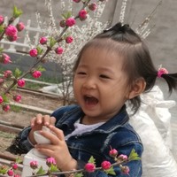 90bf476294c2b6cf8137e35af1bcc0c3871bc2c0