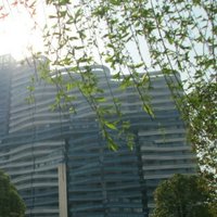 6b2b8fd9dcd528d04f4fd728d1f838d137ff3846