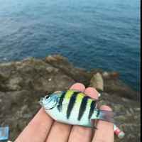 912ca4890ed785cfb96f3256dc28ca2385f8f7d4